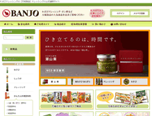 Tablet Screenshot of banjo-shop.com